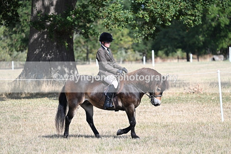 WJ7_2664 - Class 8 Ridden Tack & Turnout