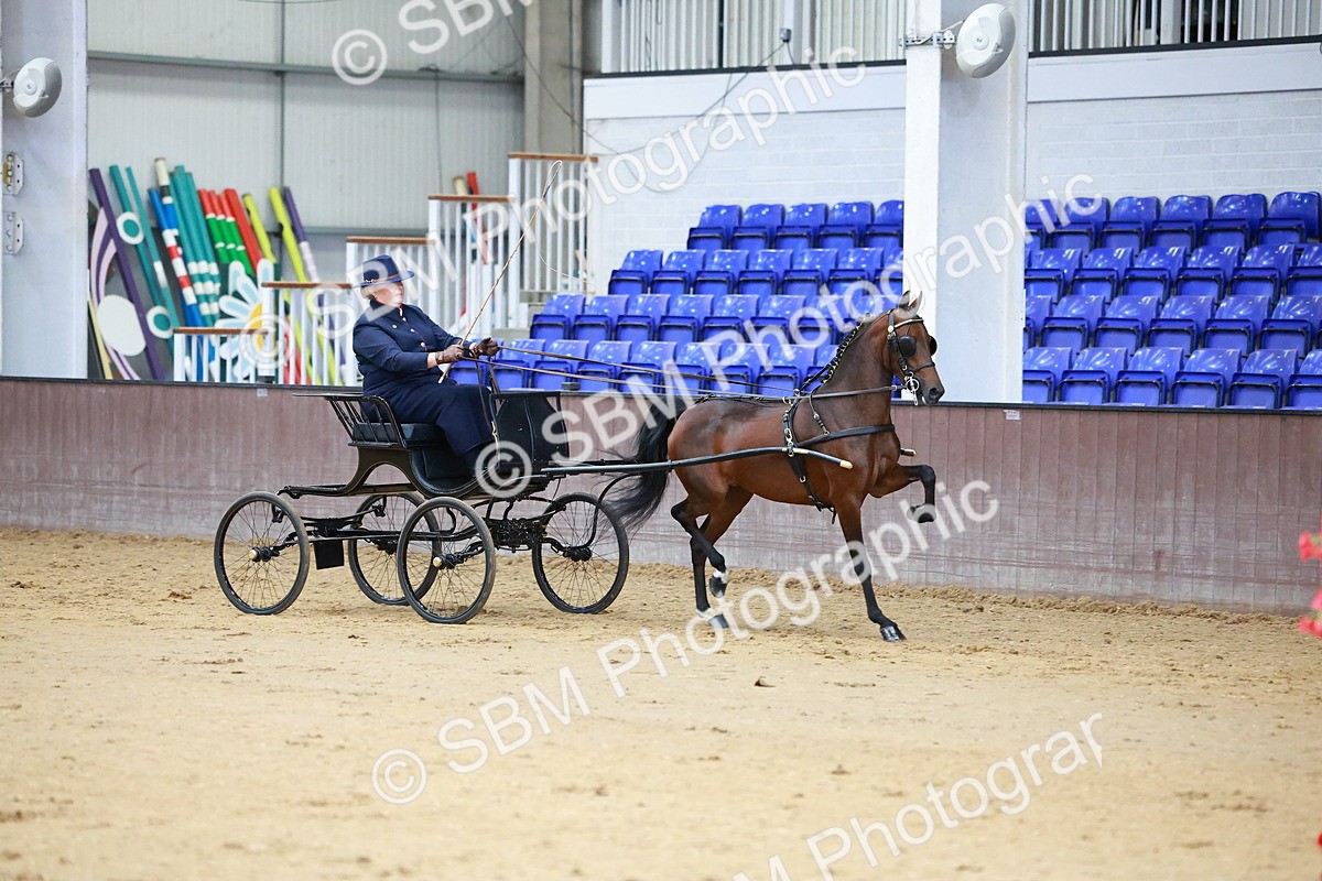 SBM_000646 - Class 9 - HHS Championship Intl Hackney Pony to a Showwagon