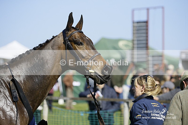 PtP 190322 331 - Wilton Hunt PtP Milborne St Andrew 19/03/22