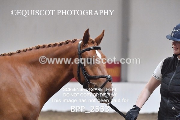 BPP_2553 - LOOSE JUMPING / SPSS
