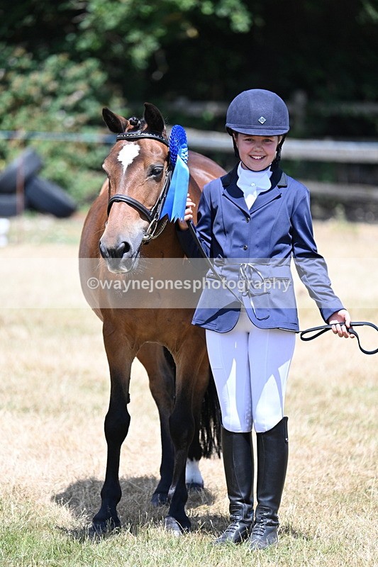 WJ7_2248 - Class 5 Most Handsome Gelding (up to 14.2hh) in hand