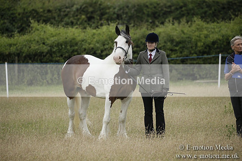 B230619-0063 - Bourne Valley Riding Club Summer Show 23/06/19