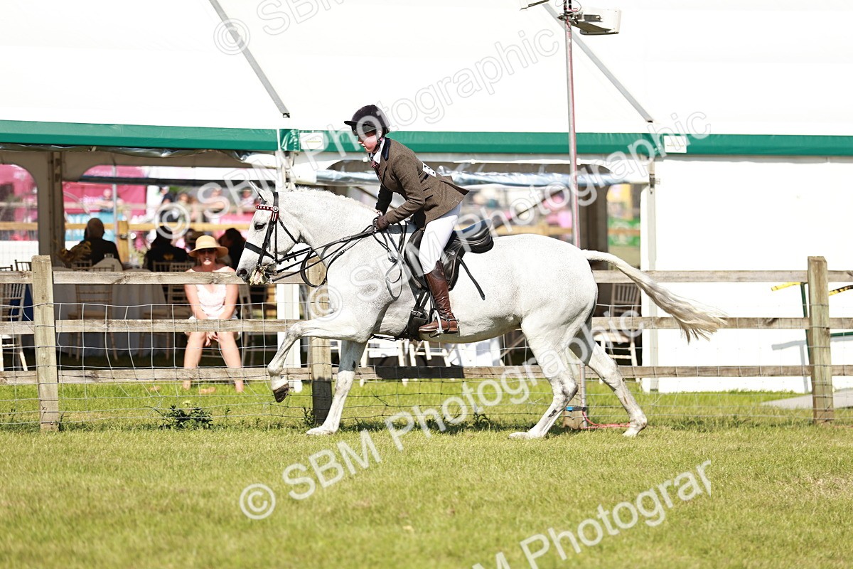 SBM_18888 - Class 114 - RIHS & SEIB Open Working Show Horse