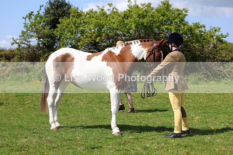 3E7A0366 - Class 19: Best Coloured in Hand