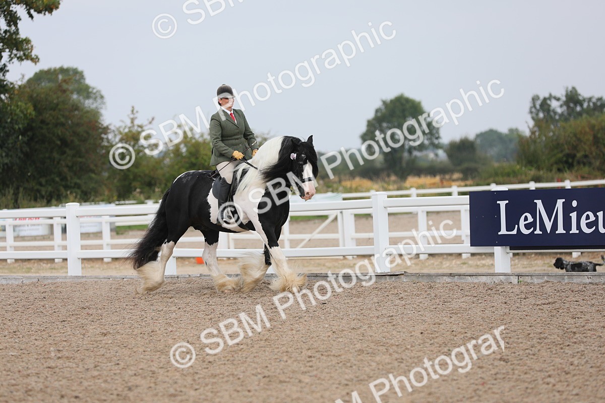 SBM_12673 - Class 307 Ridden Coloured Pony