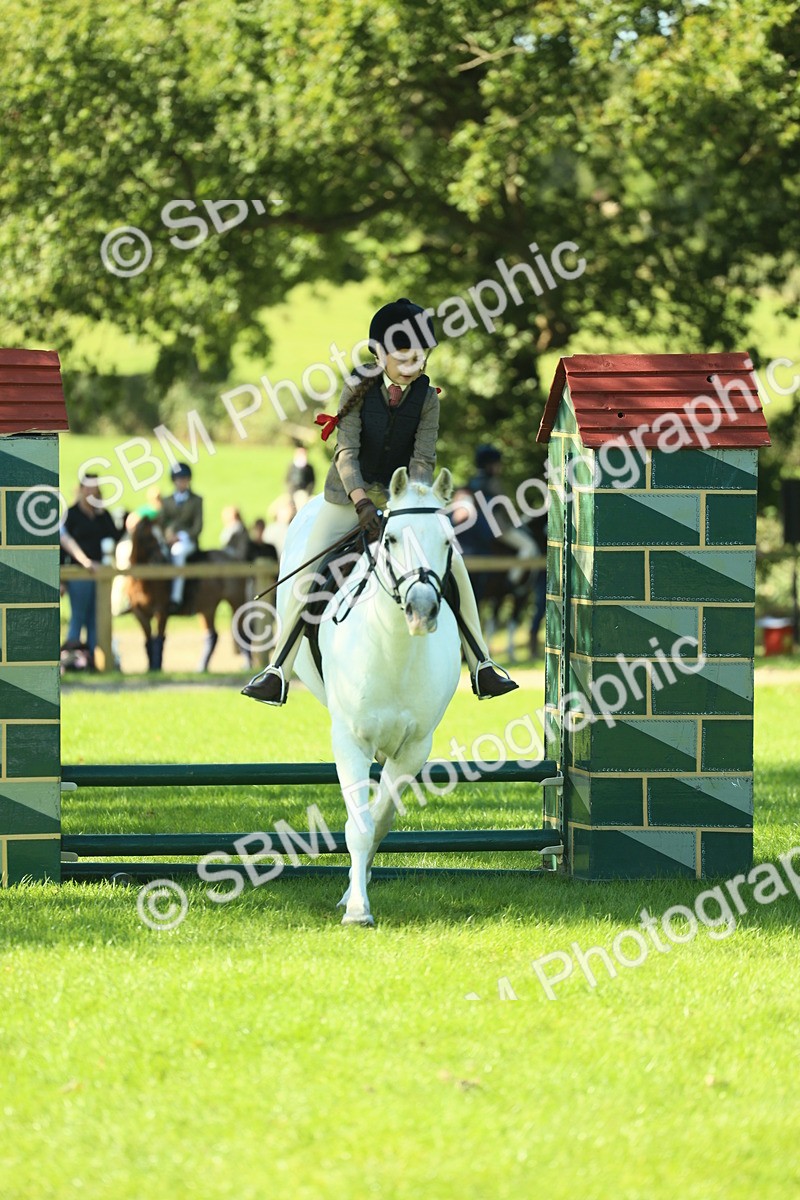 SBM_37519 - S29 - Novice & Newcomers Working Hunter Pony