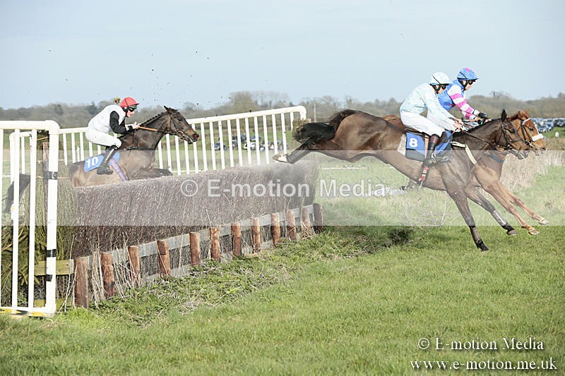PtP 230319 475 - VWH Hunt Siddington Point-to-Point Racing 23/03/19