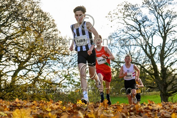 NatRel25-914508 - Young Male Set Two