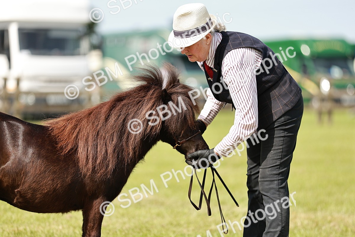 SBM_01908 - Class 14-23 - Mountain & Moorland In Hand Non Welsh