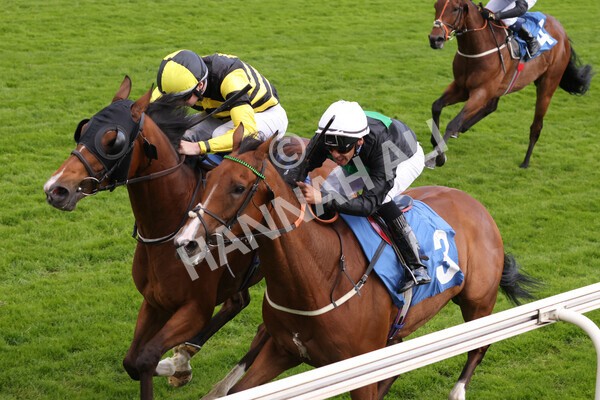 yr10062022r7-26 - Race 7 5.10pm Andy Thornton Hospitality Furniture Stakes