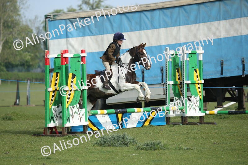 20260426-0066 - Class 13 - Rookie Jumping 50cm
