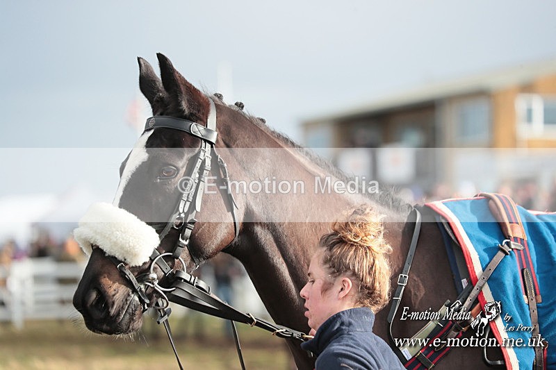 PtP 311223 370 - Larkhill Racing Club Point-to-Point 31/12/23
