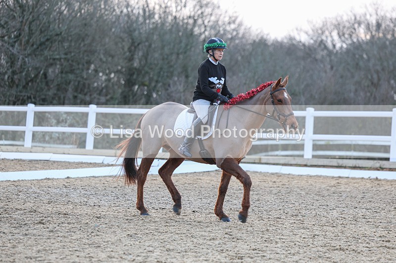 3E7A5091 - Class 5: Novice