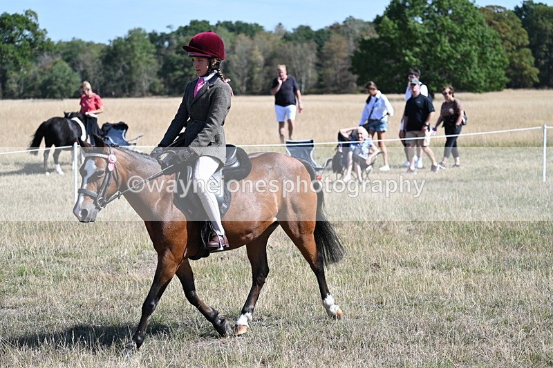 WJ7_4075 - Class 9 Mountain & Moorland Ridden