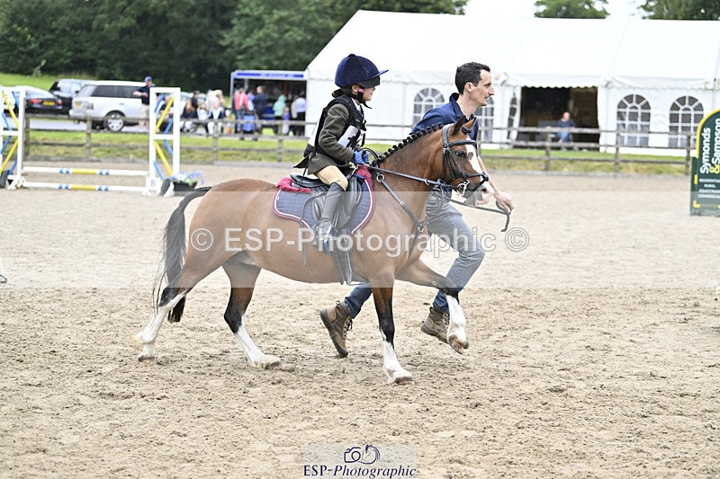 240822X-143303-09106 - 40cm LR R2 13.00 to 15.00