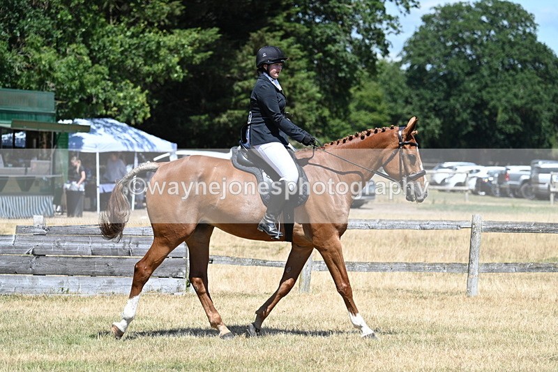 WJ7_2860 - Class 7 Riding Club Show Horse