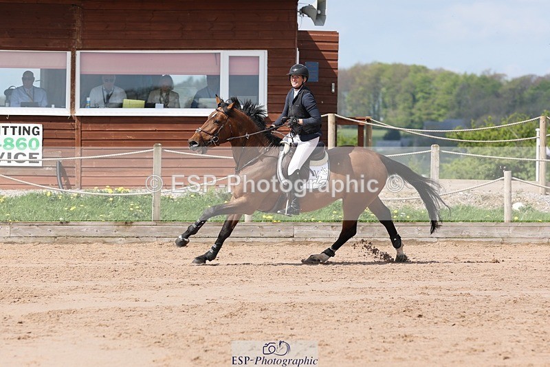 250427-113803-16024 - Cls 36 Young Horse 7yr old