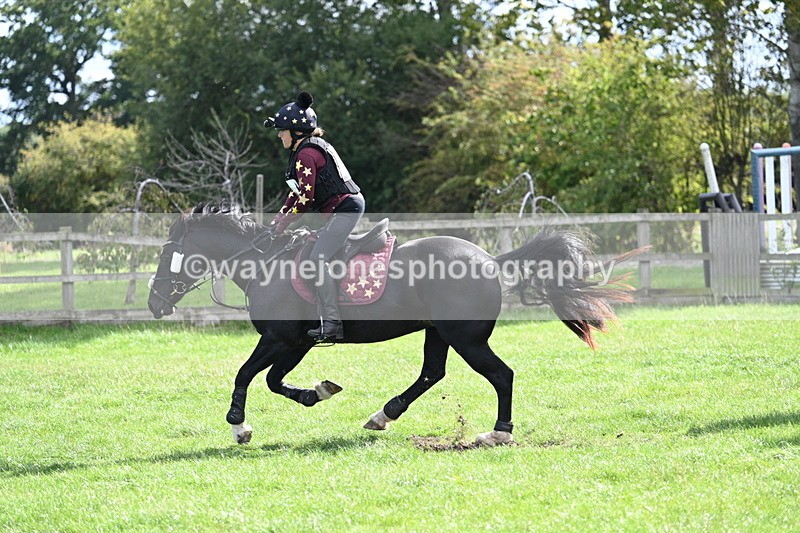 WJ7_0736 - Time 13:30 to 13:54