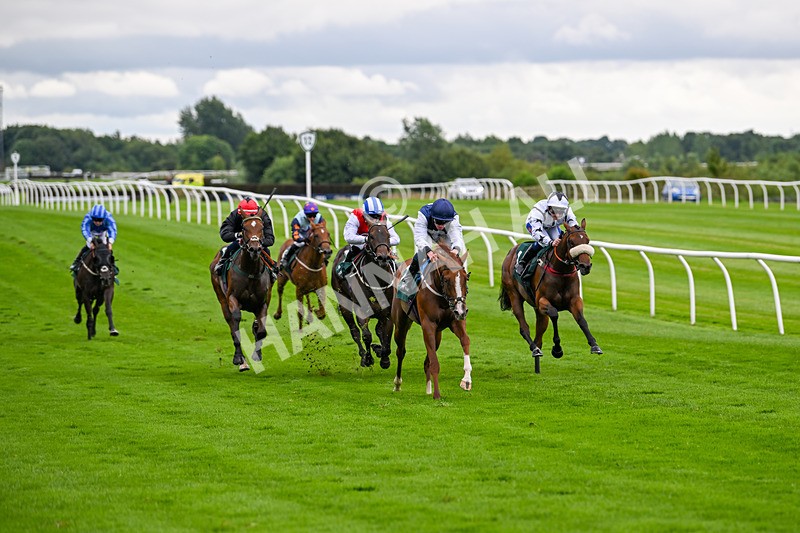 100724-Race 3-Wondrous Ways-4838 - Race 3