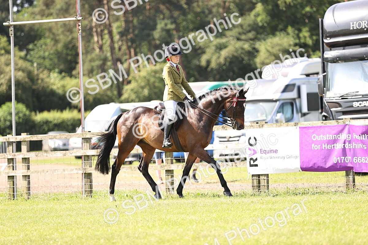 SBM_12976 - Class 75-76 LIHS BSHA Rising Star Hack Riding Horse