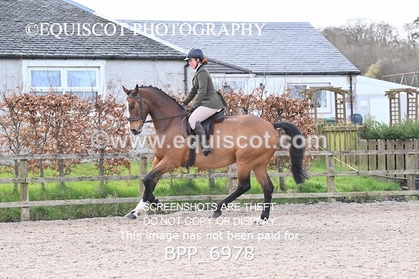 BPP_6978 - RING 1  (RIDDEN HORSES / IN HAND / VETERAN ETC)