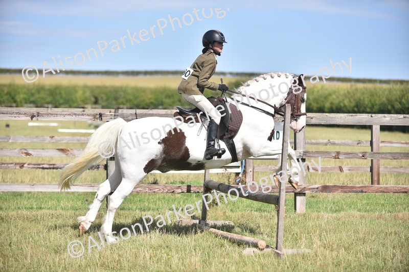 20260906-2633 - Class 12 - 14.2hh and Under
