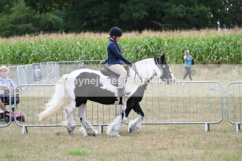 WJ7_5340 - Class 12 Ridden Cob