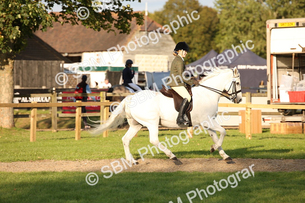 SBM_54404 - S27 - Mature Veteran - Ridden