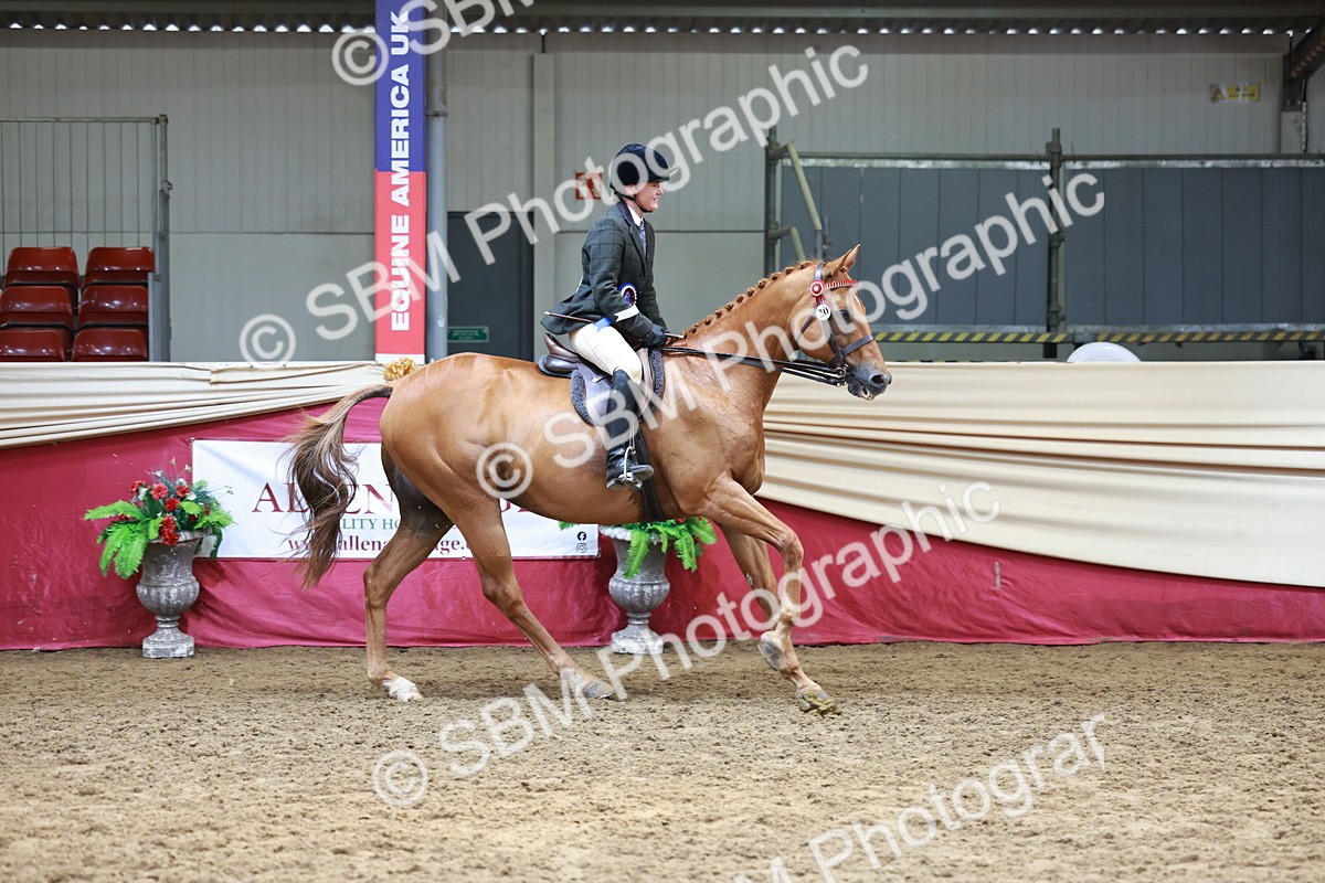 SBM_15001 - Class 108 - Ridden Retired Racehorse