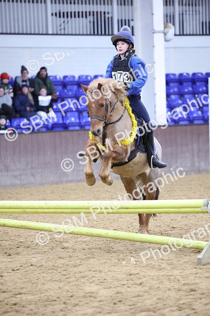 SBM_001078 - Class 3 - Christmas Tree Stakes - 60cm