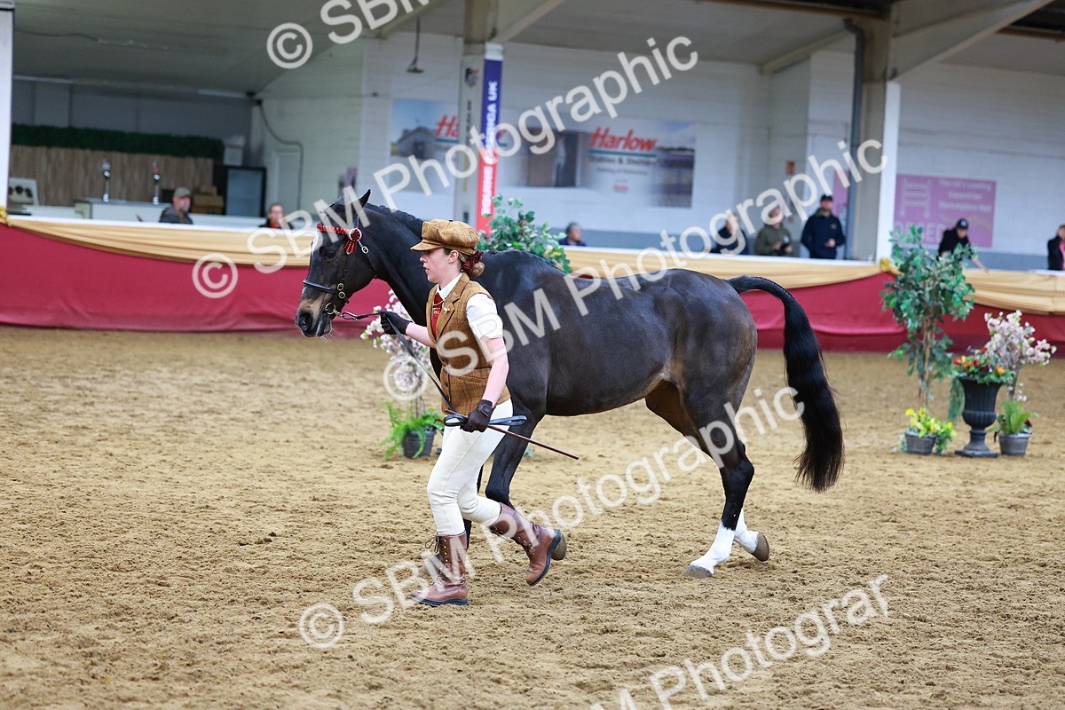 SBM_16157 - Class 901 - Sup Final - IH Diamond