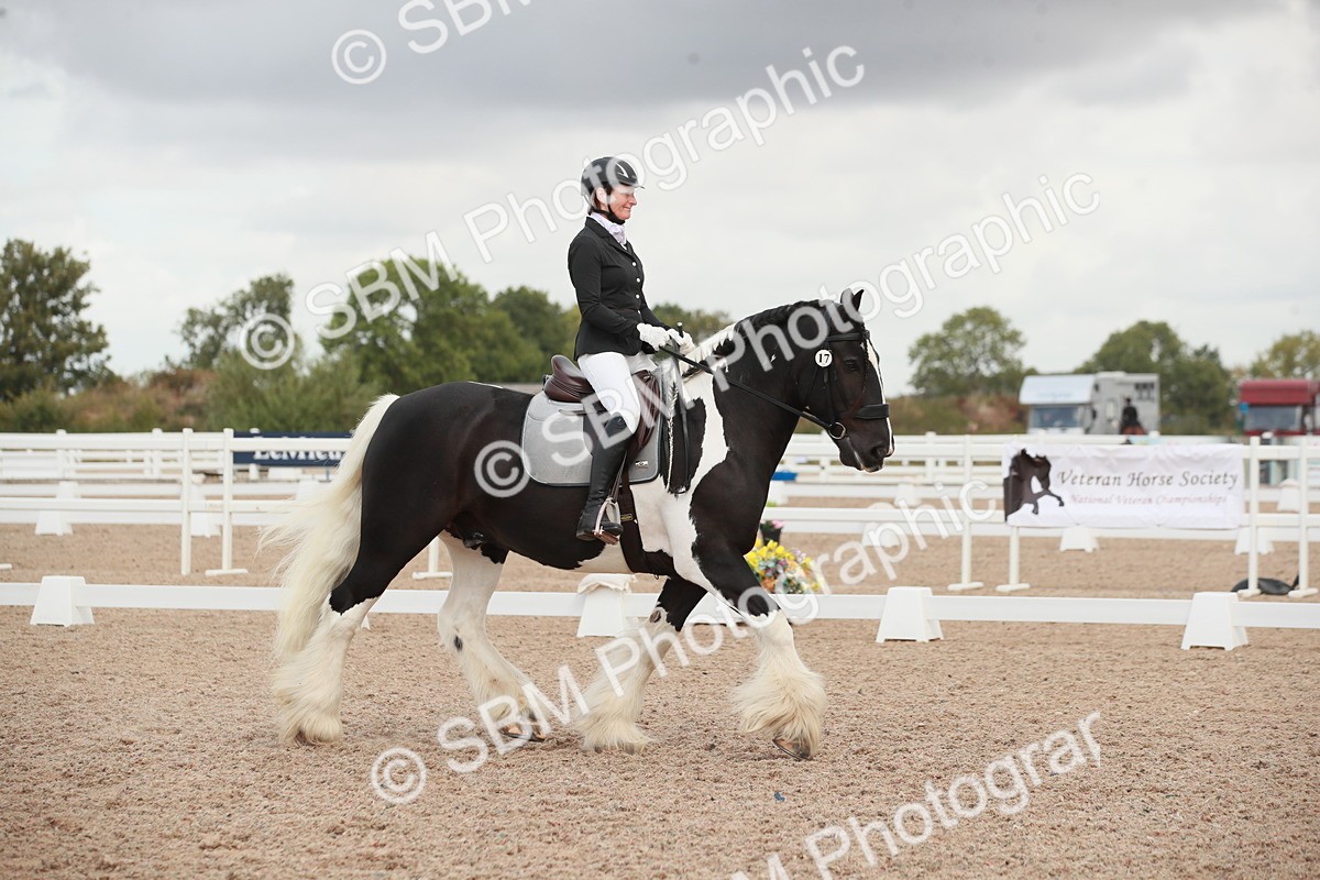 SBM_03808 - Class 31 - Prelim 1