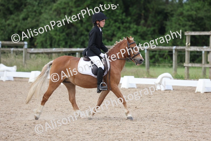 20250614-0397 - Class 4 - Novice 2