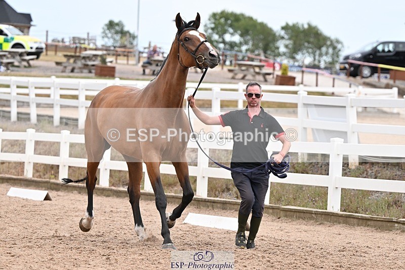 250716-155031-02216 - Trot Up 3.30 to 4.30