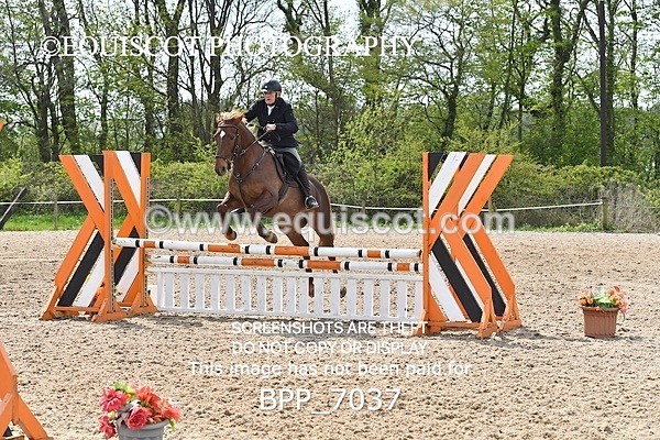 BPP_7037 - CLASS 5 FRI Veterans Show Jumping