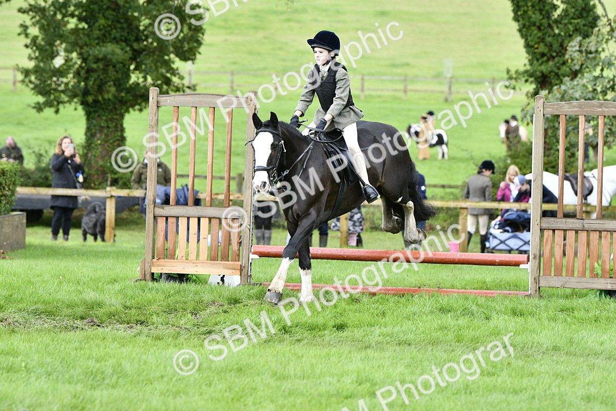 SBM_41492 - S32 - Mountain & Moorland Working Hunter Pony