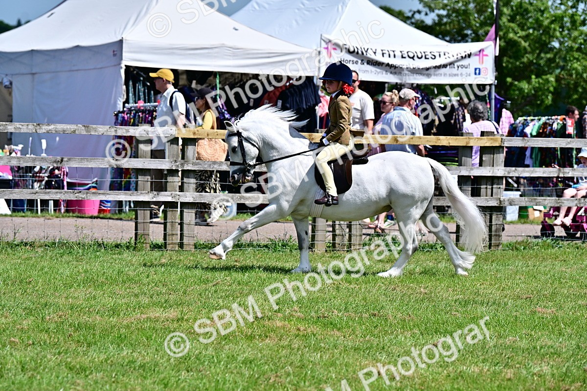 SBM_06085 - Class 59-60 - TSR M&M  Lear Rein and First Ridden Amateur of the year