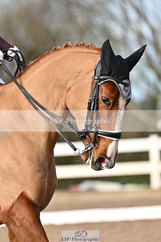 241214-134034-02535 - 112-kelly.jewell-Avalon