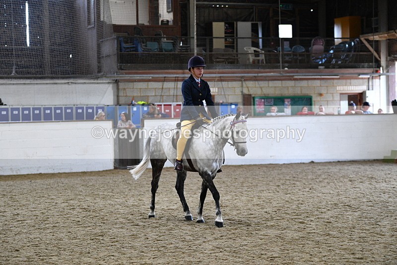 WJ5_7739 - Class 13 Ridden Part Breed