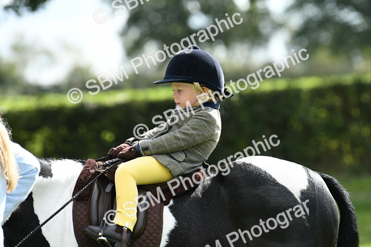 SBM_41176 - S19 - Lead Rein Show & Show Hunter Pony