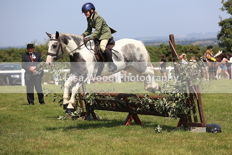 JPP_3201 - Class 22: Working Hunter 70cm