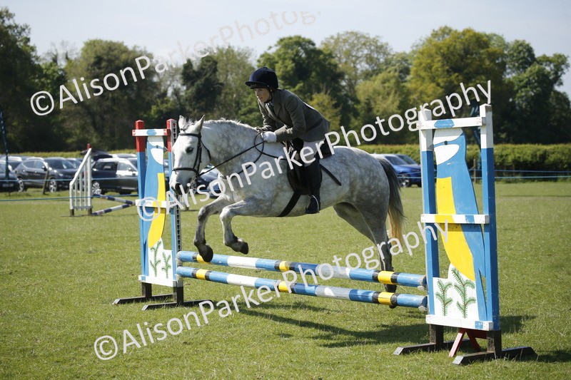 20250427-2075 - Class 13 - Novice Jumping 60cm