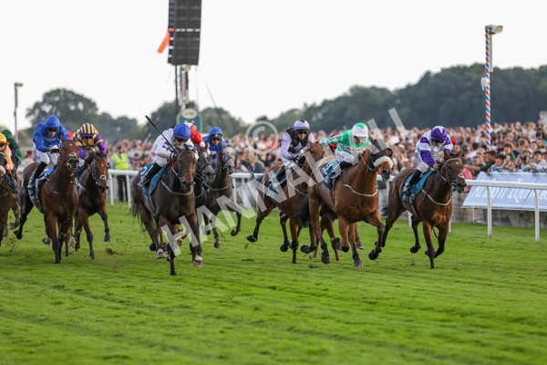 260724-Race 4-Dicko The Legend-4104 - Race 4 7.15pm Tomahawk Restaurants Handicap