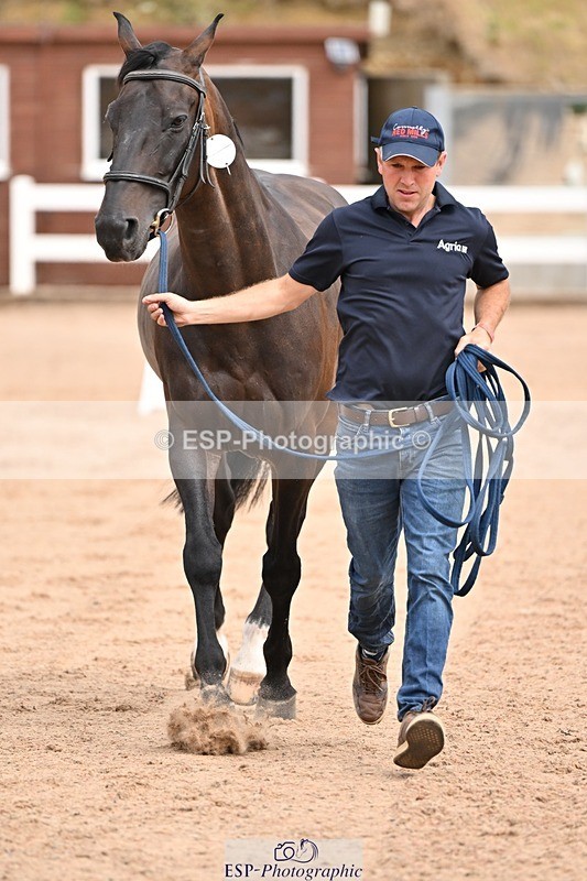 250716-150750-01663 - Trot Up 2.30 to 3.30