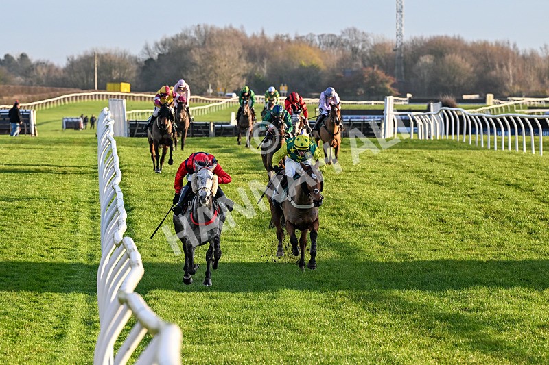 161225-Race 5-Somebodycomegether-8830 - Race 5