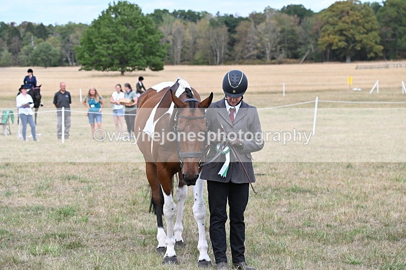 WJ6_6323 - Class 19 In-hand Veterans (Uploaded correct folder)