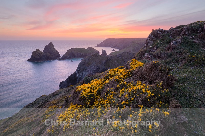  - Kynance Cove Cornwall