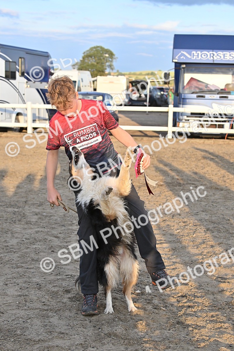 SBM_09717 - Lorry Dogs