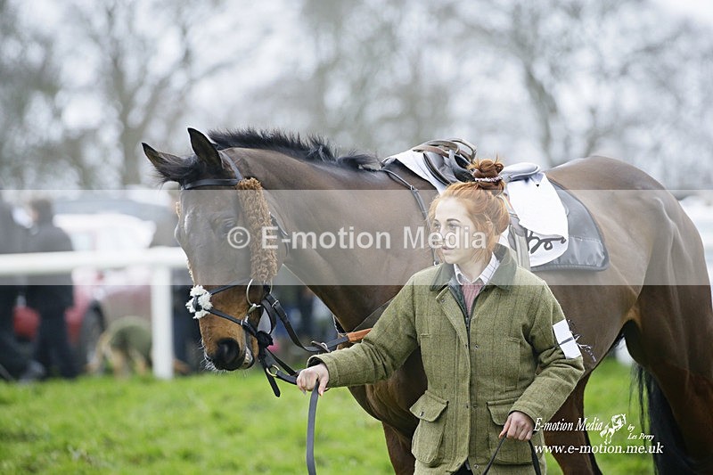 PtP 200222 254 - Countryside Alliance PtP Badbury Rings 20/02/22