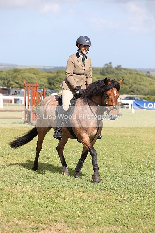 JPP_2644 - Class 20: Working Hunter 70cm